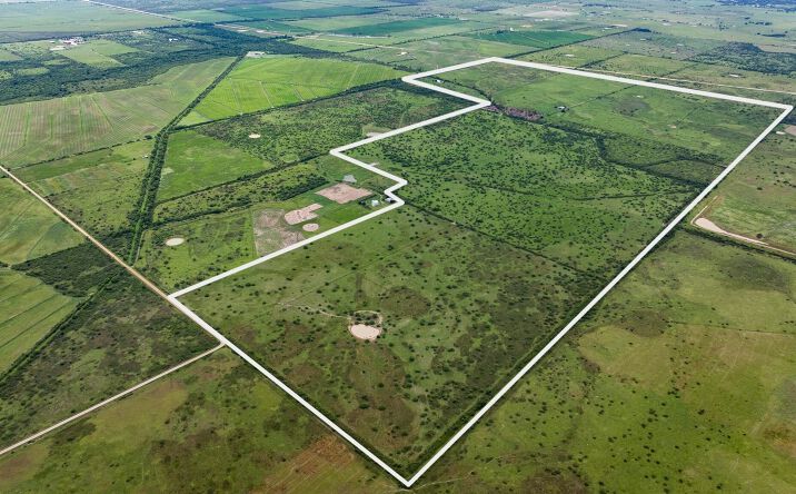 Pictures of Land property located at TBD Rice Rd, Cat Spring, TX 78933 for sales - image #1