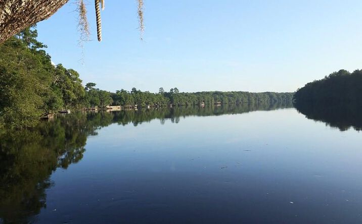 Pictures of Land property located at 53 NE 904th St, Old Town, FL 32680 for sales - image #1