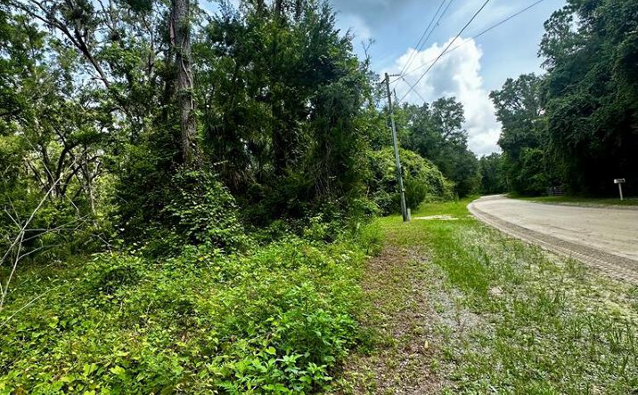 Pictures of Land property located at NE 642nd St, Old Town, FL 32680 for sales - image #1