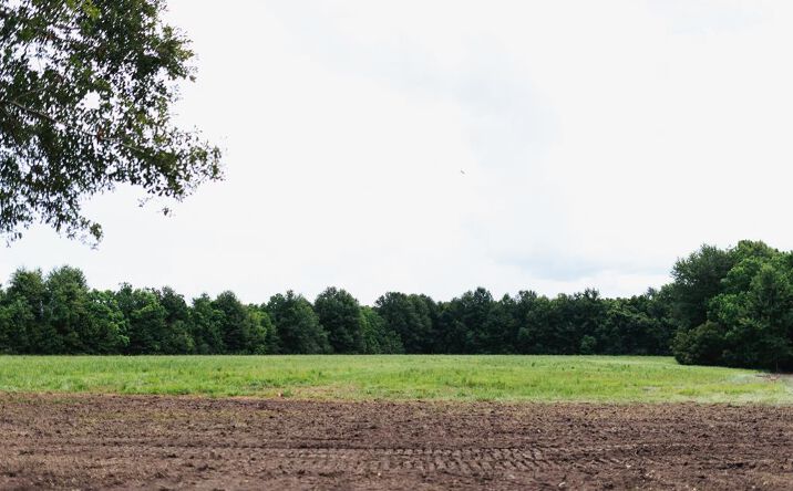 Pictures of Land property located at Lot 4 Cooper Rd, Picayune, MS 39466 for sales - image #1