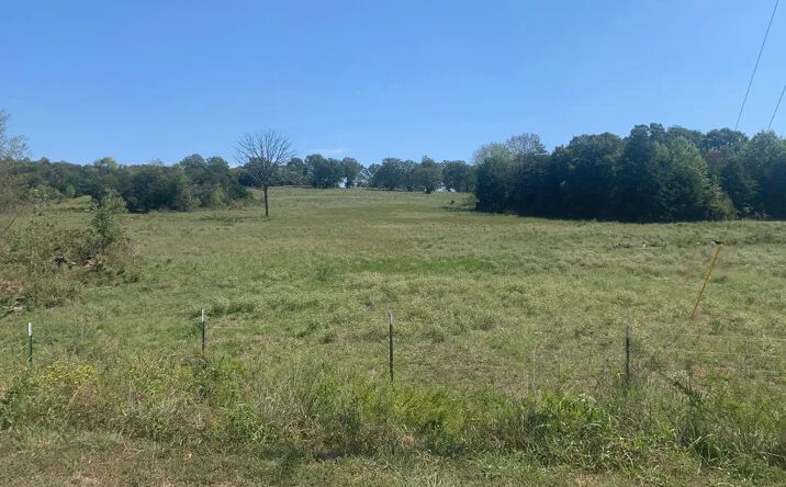 Pictures of Land property located at Lot 7 off Rail Hollow Ranch, Theodosia, MO 65761 for sales - image #1