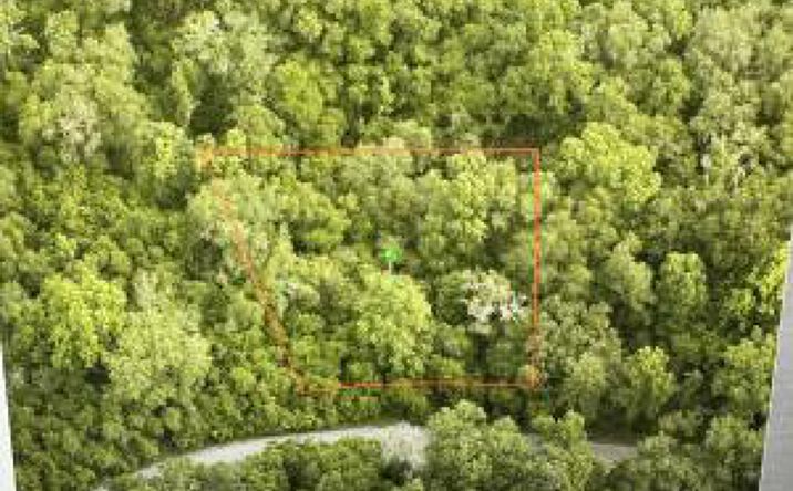 Pictures of Land property located at 6761 E Dogwood Hammock Dr, Inverness, FL 34453 for sales - image #1