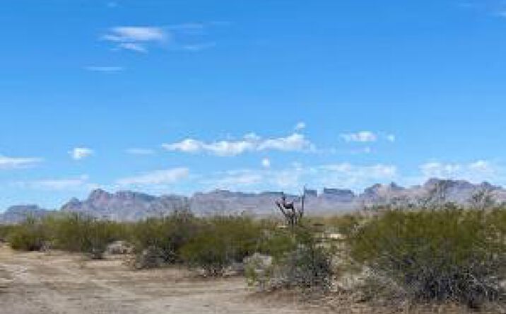 Pictures of Land property located at 0 No Known Address, Tonopah, AZ 85354 for sales - image #1