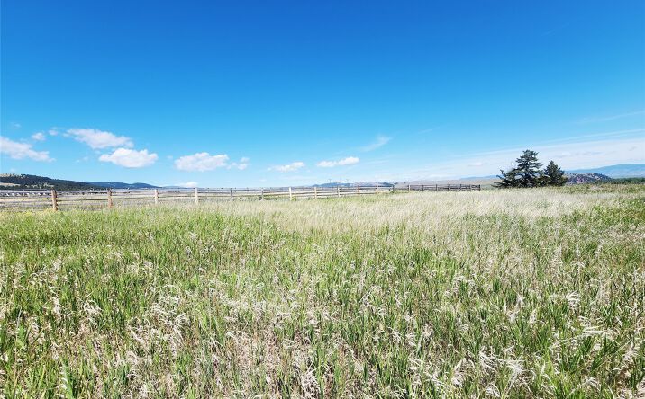 Pictures of Land property located at 43 Gold Coin Road, Hall, MT 59837 for sales - image #1