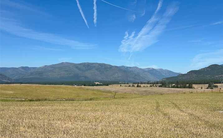 Pictures of Land property located at Lot 22 Mustang Loop, Plains, MT 59859 for sales - image #1