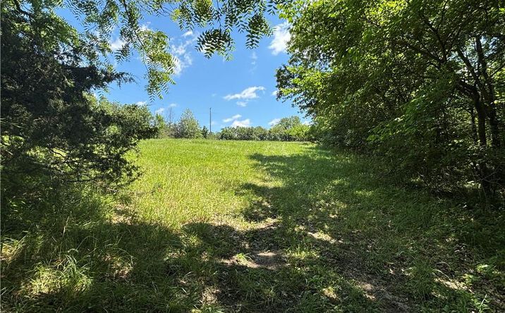 Pictures of Land, Special Purpose property located at Lot 1155 Lake Viking Terrace, Gallatin, MO 64640 for sales - image #1