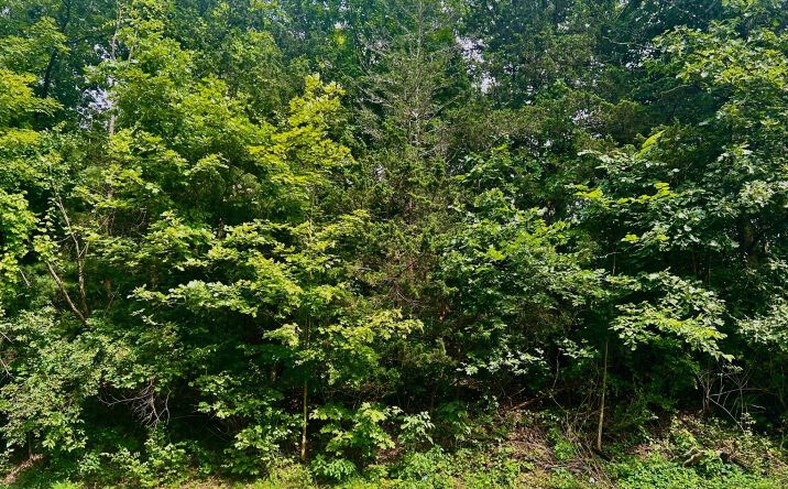 Pictures of Land property located at 980 N Quaker Lane, Hyde Park, NY 12580 for sales - image #1