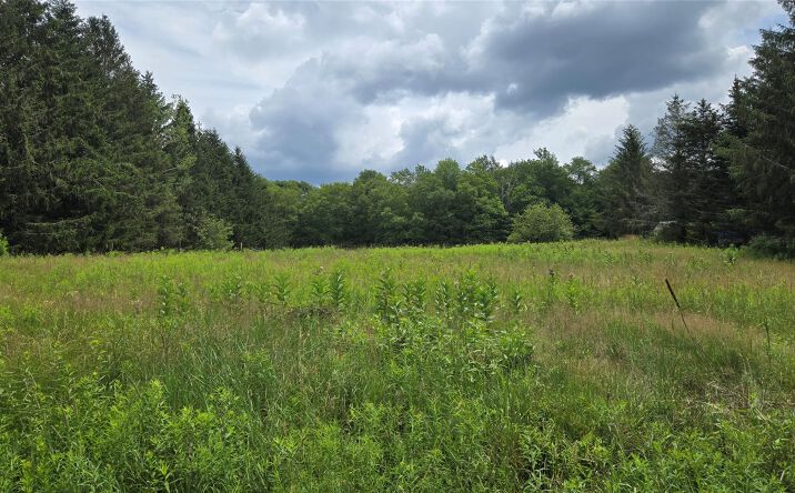 Pictures of Land property located at Old White Lake Turnpike, Bethel, NY 12720 for sales - image #1