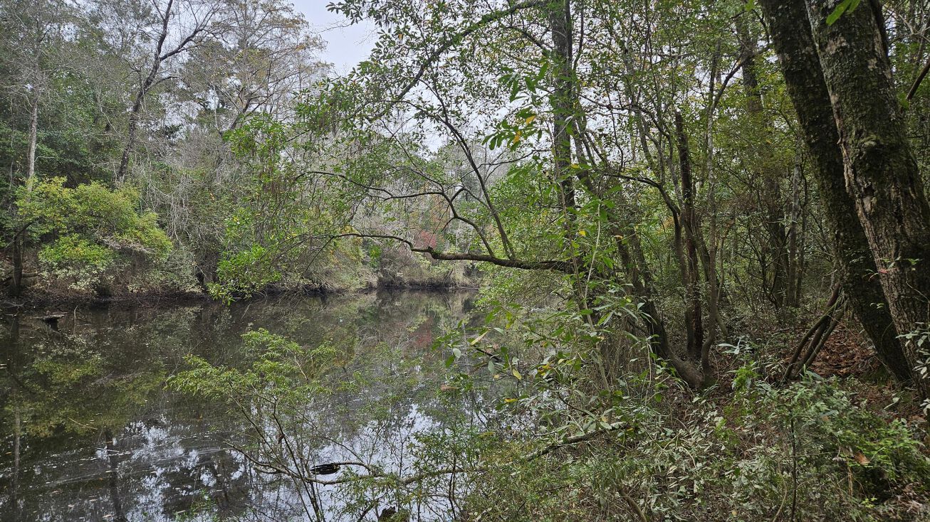 0 River Road Biloxi MS 39532 - 1268a1b9de684499a7d50a732843fa58 1306x734 