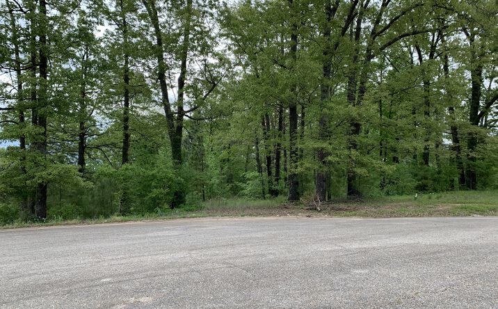 Pictures of Special Purpose, Land property located at 2714 W Matthews, Jonesboro, AR 72401 for sales - image #1