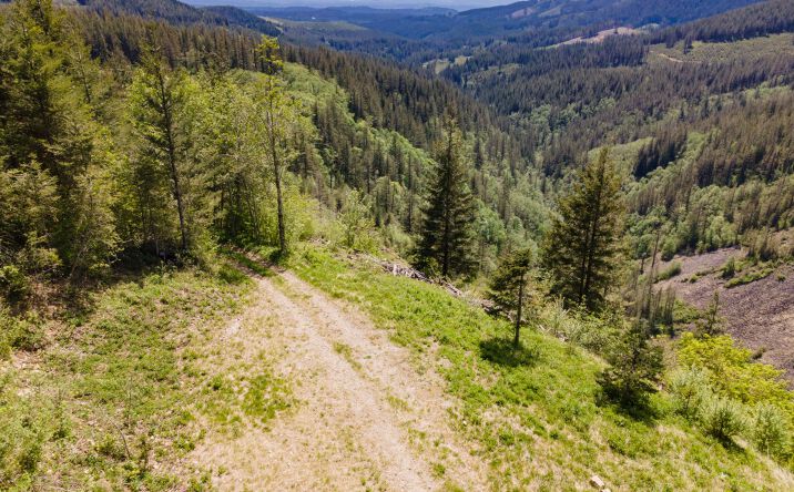 Pictures of Land property located at 0 Snag Mntn Rd, Washougal, WA 98671 for sales - image #1