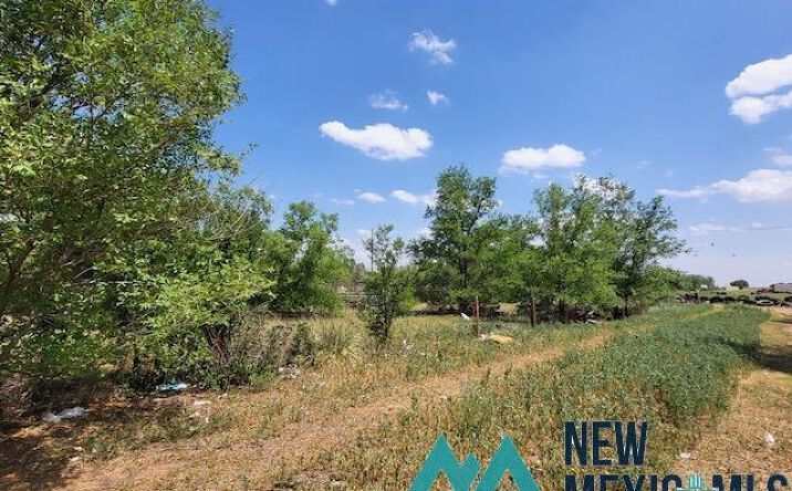 Pictures of Land property located at 11 Navajo Road, Clovis, NM 88101 for sales - image #1