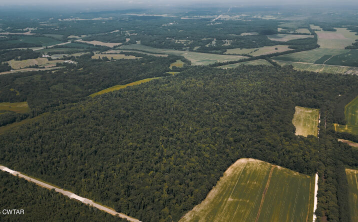 Pictures of Land, Special Purpose property located at 0 Middleburg Road, Lexington, TN 38351 for sales - image #1