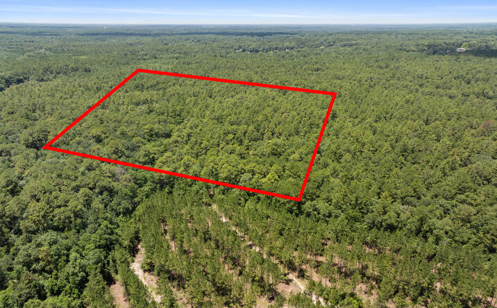 Pictures of Land property located at 0 Jeff Hamilton Road, Mobile, AL null for sales - image #1