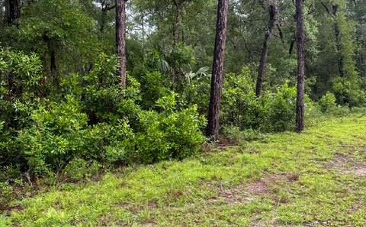 Pictures of Land property located at NW 97th Ct, Chiefland, FL 32626 for sales - image #1