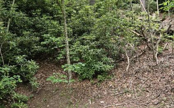 Pictures of Land, Multifamily property located at F-16 Otter Creek Trail, Fancy Gap, VA 24328 for sales - image #1