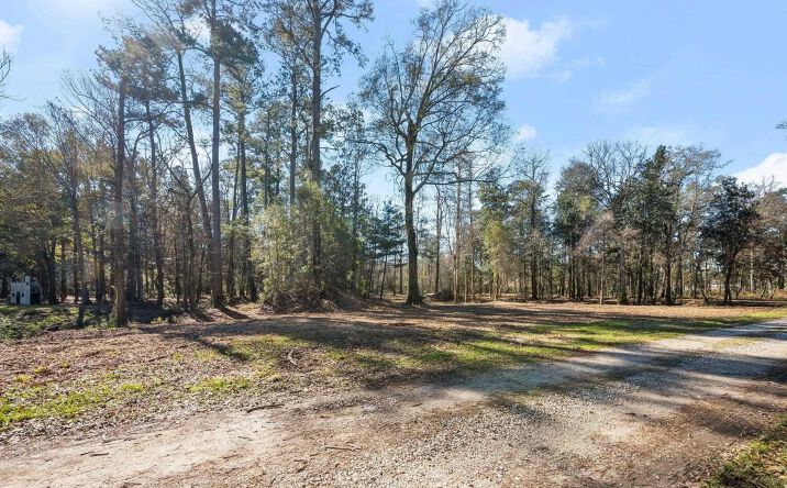 Pictures of Land property located at 12234 Whitetail Ln, Walker, LA 70785 for sales - image #1