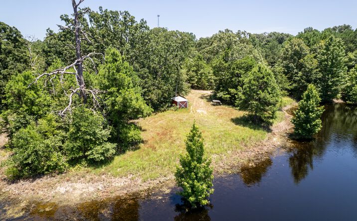 Pictures of Land property located at 259 Co Rd 2500, Mineola, TX 75773 for sales - image #1