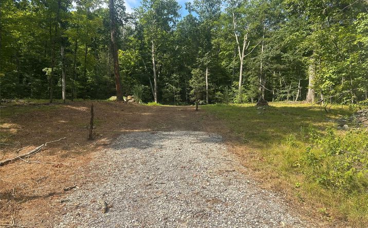 Pictures of Land property located at 80 Forever Ivy Lane, Clinton, NY 12538 for sales - image #1