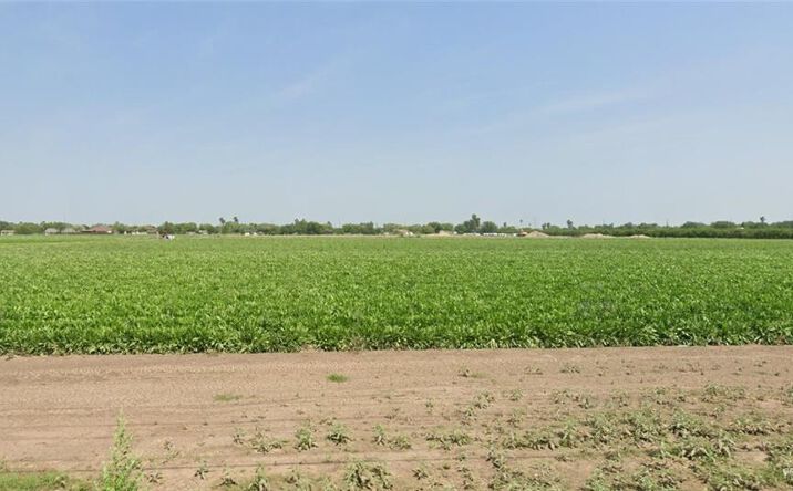 Pictures of Land property located at 0 Nolana Loop, Alamo, TX 78516 for sales - image #1