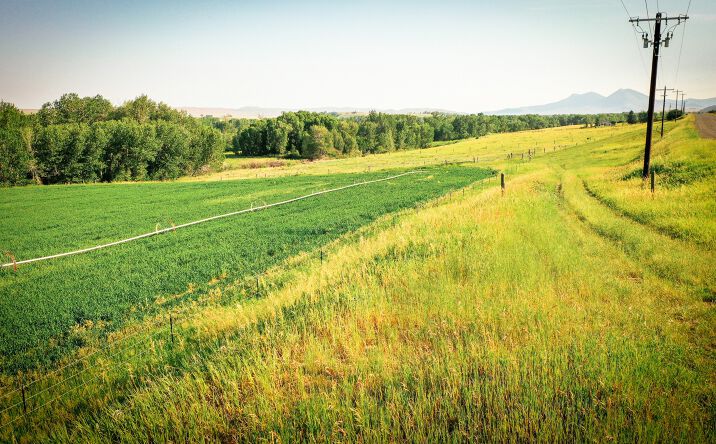 Pictures of Land property located at NHN Shields River Road, Wilsall, MT 59086 for sales - image #1
