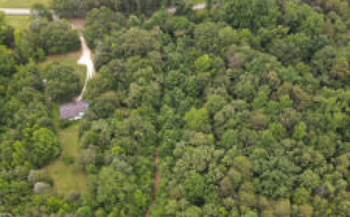 Pictures of Land property located at Harrison Road, Roebuck, SC 29376 for sales - image #1