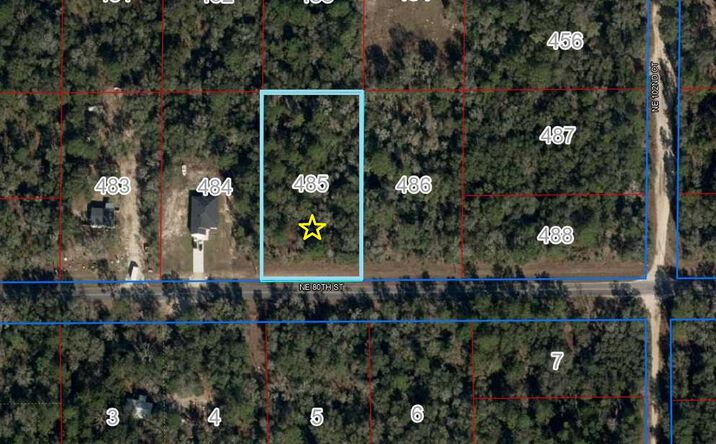 Pictures of Land property located at Lot 485 NE 80th St, Bronson, FL 32621 for sales - image #1