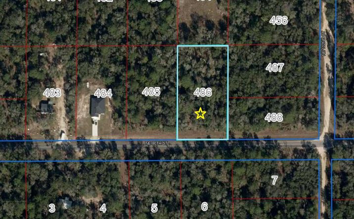 Pictures of Land property located at Lot 486 NE 80th St, Bronson, FL 32621 for sales - image #1