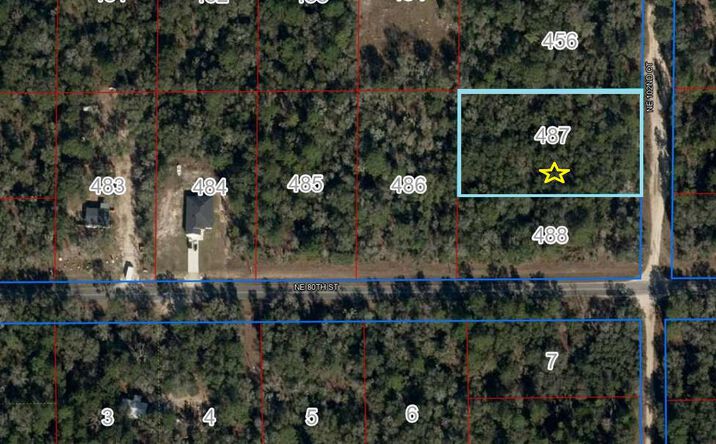 Pictures of Land property located at Lot 487 NE 102nd Ct, Bronson, FL 32621 for sales - image #1