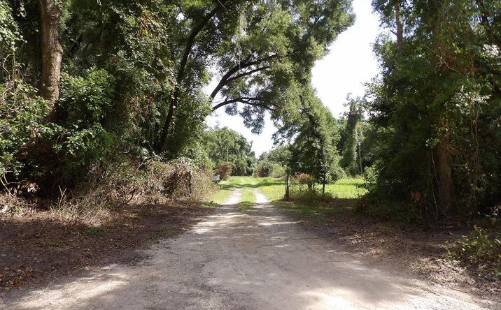 Pictures of Land property located at 3450 NW 110th St, Chiefland, FL 32626 for sales - image #1