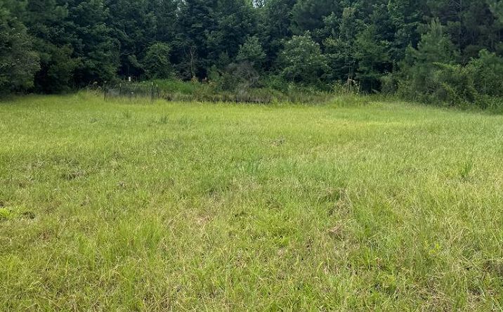 Pictures of Land, Multifamily, Special Purpose property located at 134A Harry Sones Rd, Poplarville, MS 39470 for sales - image #1