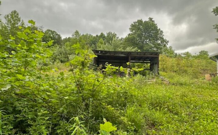 Pictures of Land property located at 142 Ray Gillum Rd, Sandy Hook, KY 41171 for sales - image #1