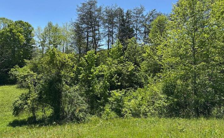 Pictures of Land property located at 3076 Sheepskin Rd, Sandy Hook, KY 41171 for sales - image #1