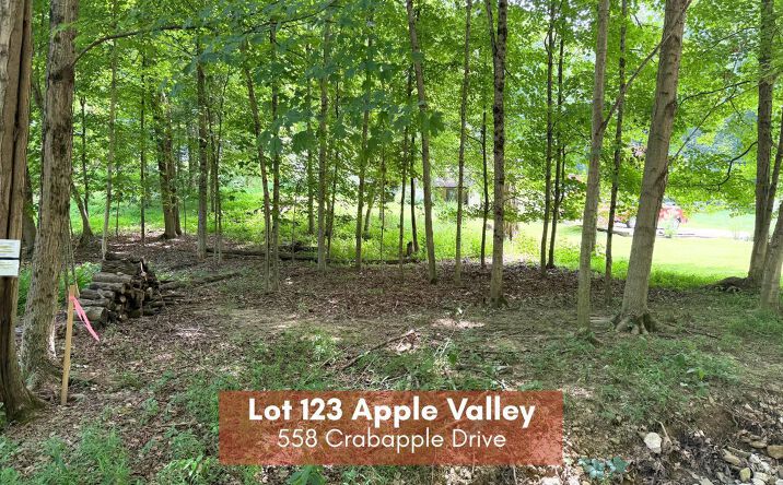 Pictures of Land property located at 558 Crabapple Drive, Howard, OH 43028 for sales - image #1