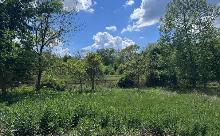 Pictures of Land property located at 6238 Taggart Road, Delaware, OH 43015 for sales - image #1