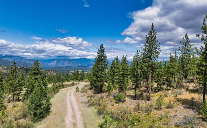 Pictures of Land property located at Lots 20 & 23 Bighorn Bluff Road, Plains, MT 59859 for sales - image #1