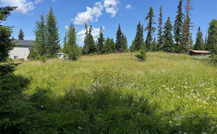 Pictures of Land property located at 13643 Sundance Trail, Bigfork, MT 59911 for sales - image #1