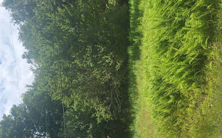 Pictures of Land property located at ** Creamery Road, Bethel, NY 12720 for sales - image #1
