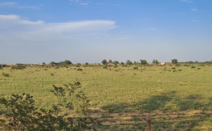 Pictures of Land property located at SE of 47 Armstrong Road, Hope, NM 88250 for sales - image #1