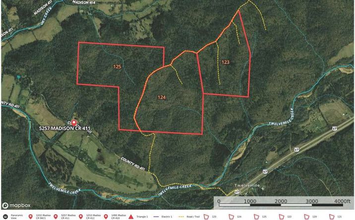 Pictures of Land property located at County Road 411, Fredericktown, MO 63645 for sales - image #1
