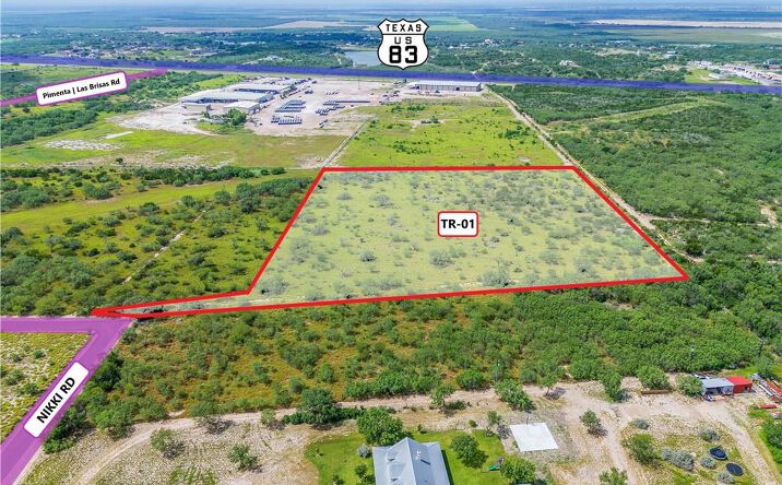 Pictures of Land property located at TR 1 Nikki Road, Rio Grande City, TX 78582 for sales - image #1