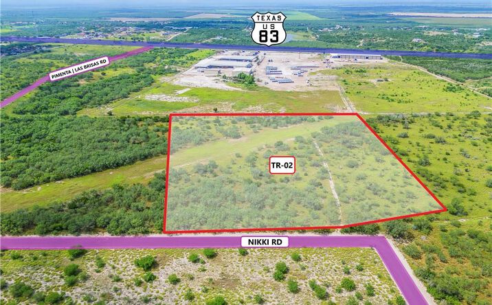 Pictures of Land property located at TR 2 Nikki Road, Rio Grande City, TX 78582 for sales - image #1