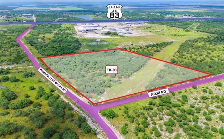 Pictures of Land property located at TR 3 Pimenta Road, Rio Grande City, TX 78582 for sales - image #1