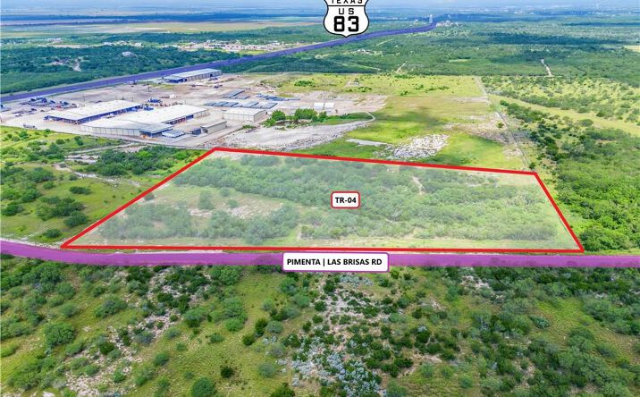 Pictures of Land property located at 1235 Pimenta Road, Rio Grande City, TX 78582 for sales - image #1