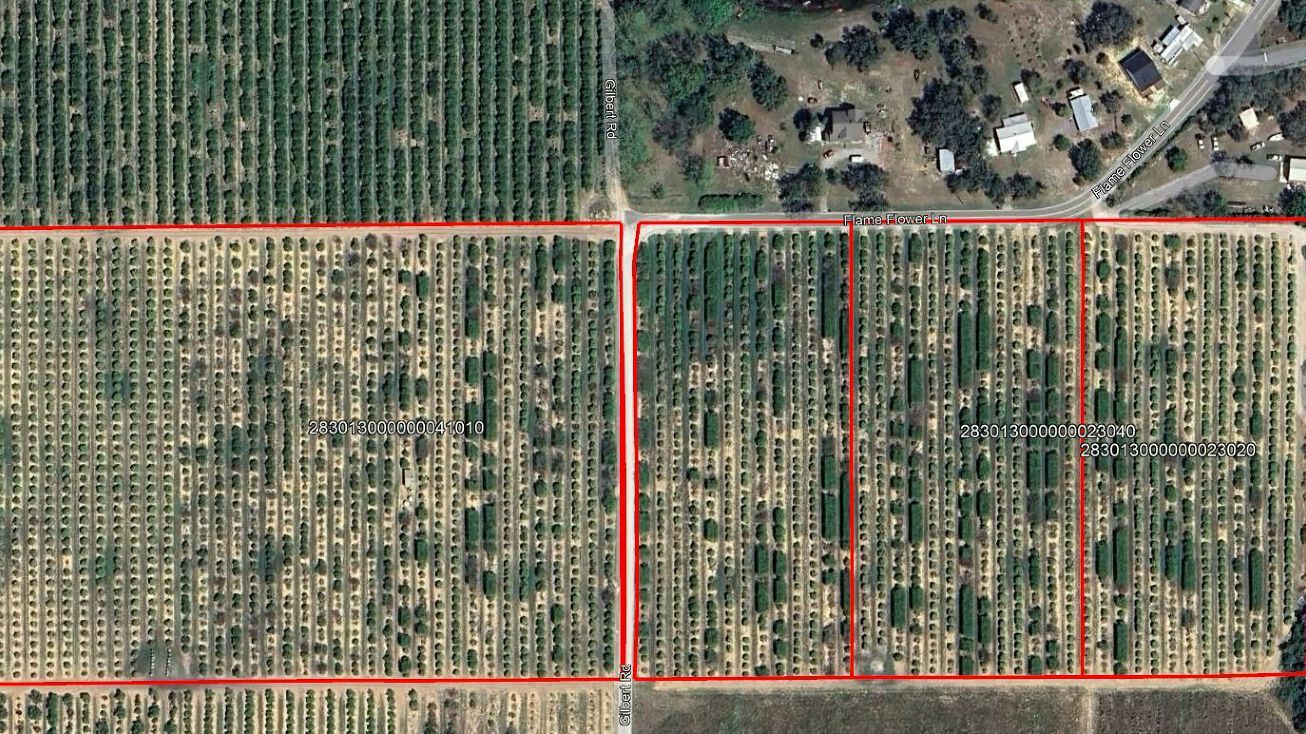 Flame Flower Road Lake Wales Fl - 20f518f39de64719810e99e64dec6efa 1306x734 