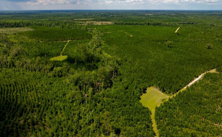 Pictures of Land property located at Springfield Rd. & Corinth Church Rd., Springfield, GA 31329 for sales - image #1