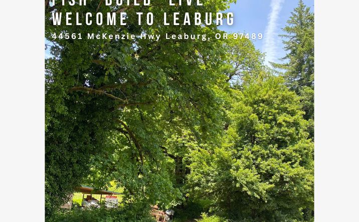 Pictures of Land property located at 44561 McKenzie Hwy, Leaburg, OR 97489 for sales - image #1