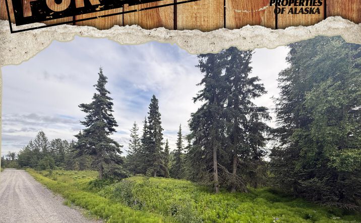 Pictures of Land property located at 66307 Lothrop Pk Dr, Ninilchik, AK 99639 for sales - image #1