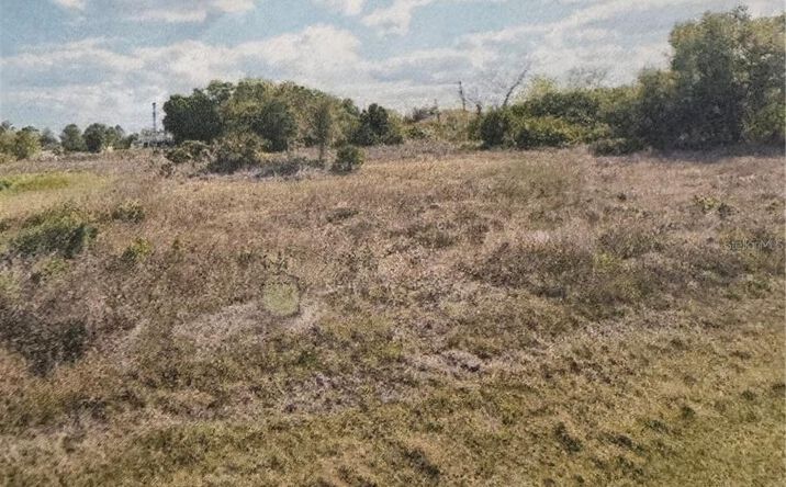 Pictures of Land property located at 4215 8th St Sw, Lehigh Acres, FL 33976 for sales - image #1