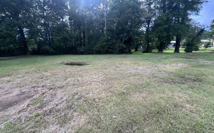 Pictures of Land property located at 105 Watlington St, Center, TX 75935 for sales - image #1